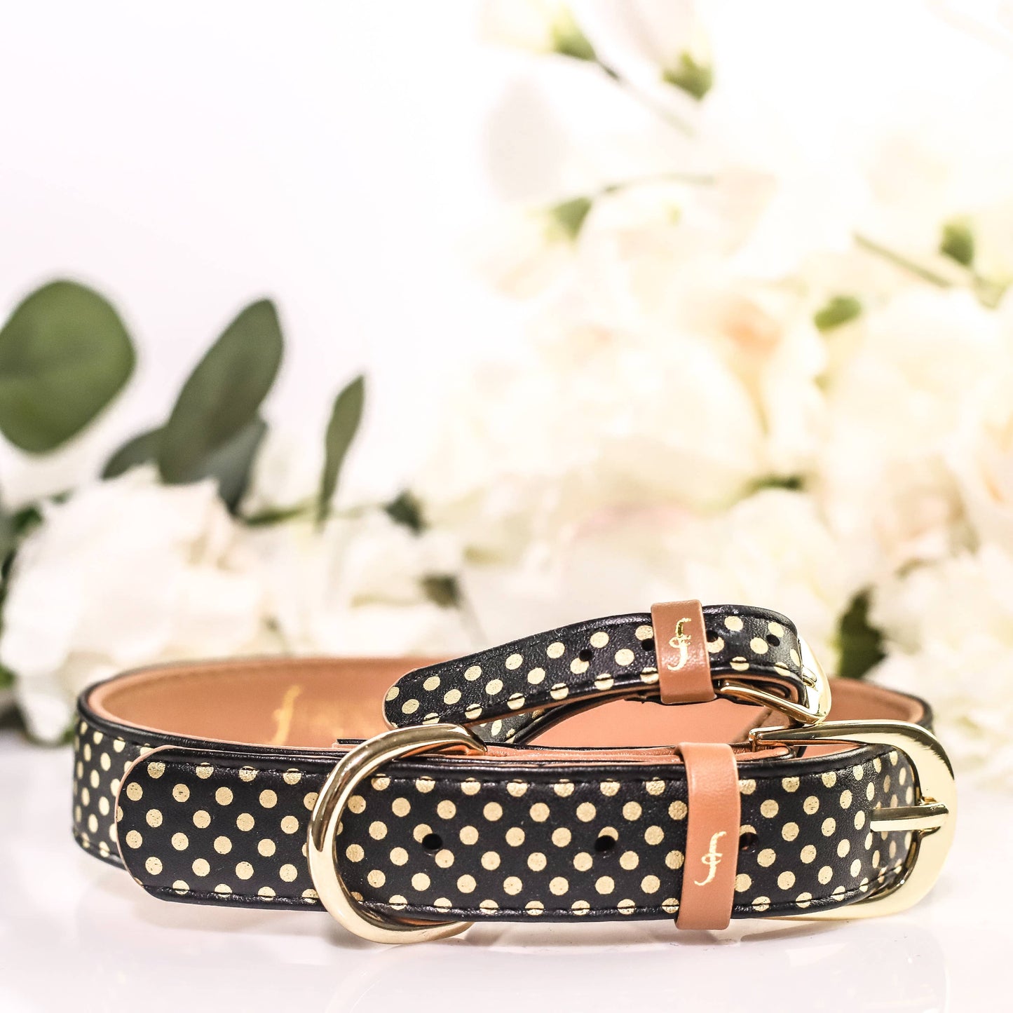 Friendship Collar - Collier et Bracelet Assortis Dotty About You Friendship Collar