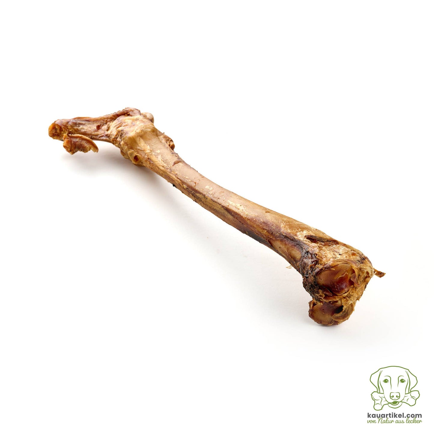 Tibia de cerf
