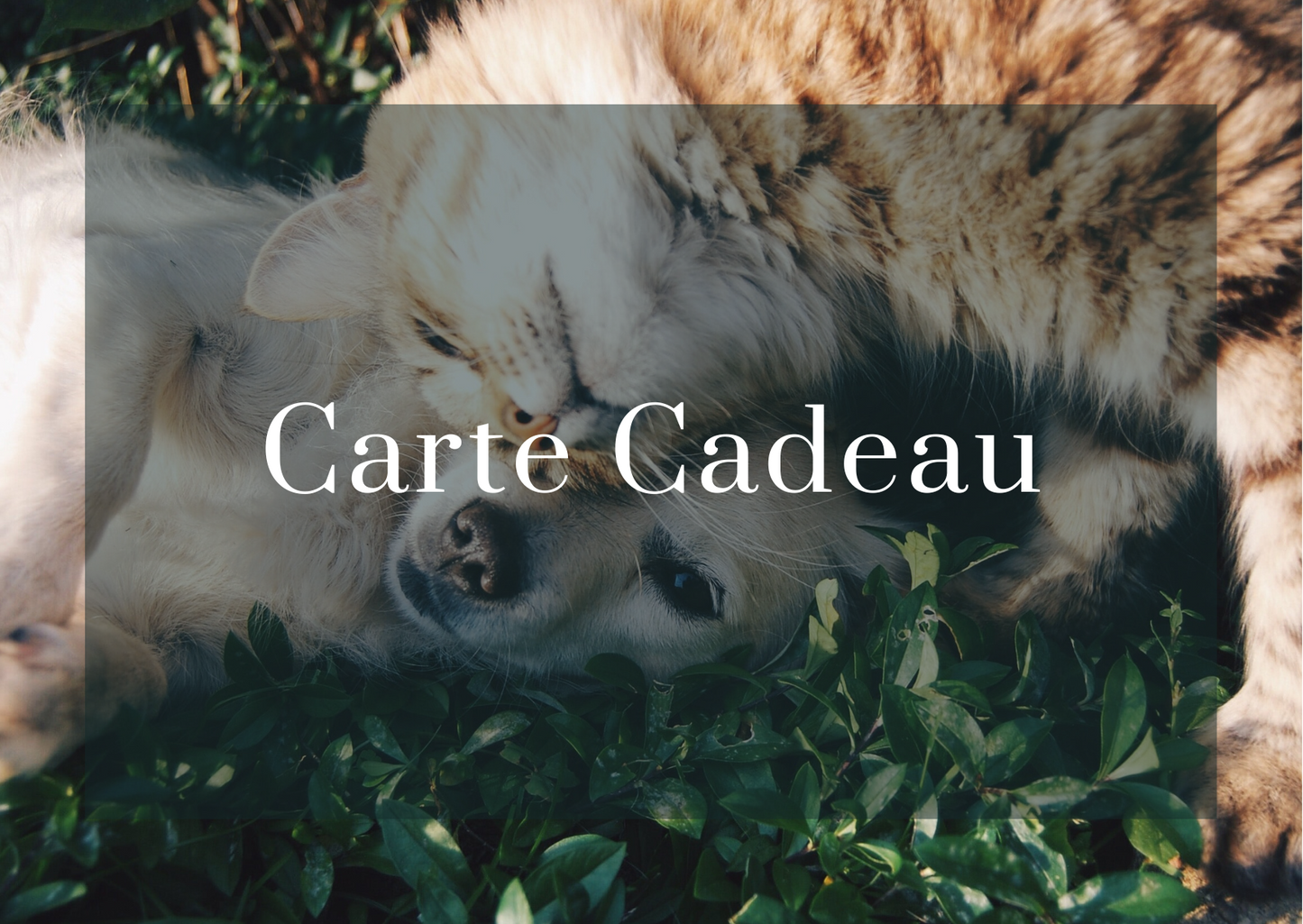 Carte-Cadeau