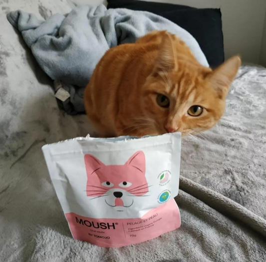 Friandises MOUSH Peau et Pelage Invers