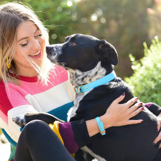 Collier et Bracelet Azur Friendship Collar