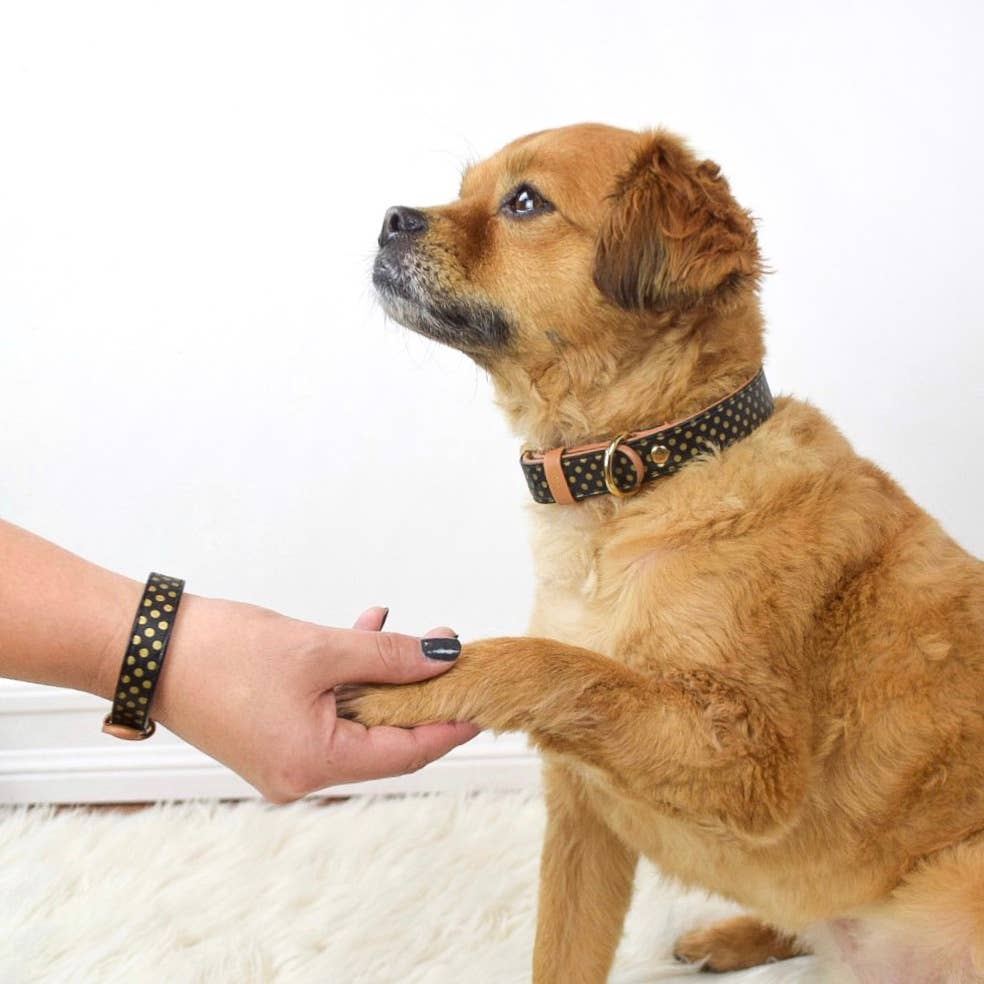 Friendship Collar - Collier et Bracelet Assortis Dotty About You Friendship Collar