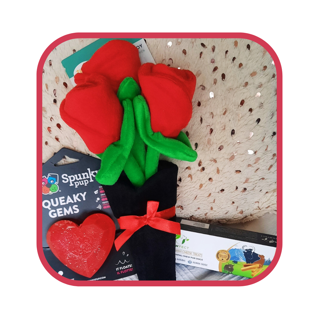 Offre Roses AVET'SERVICES
