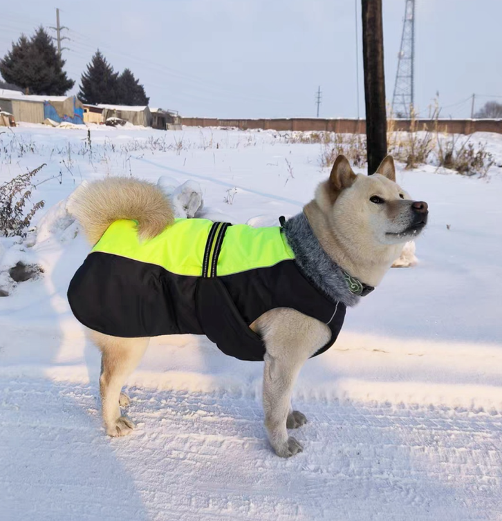 Manteau Truelove Snow TrueLove