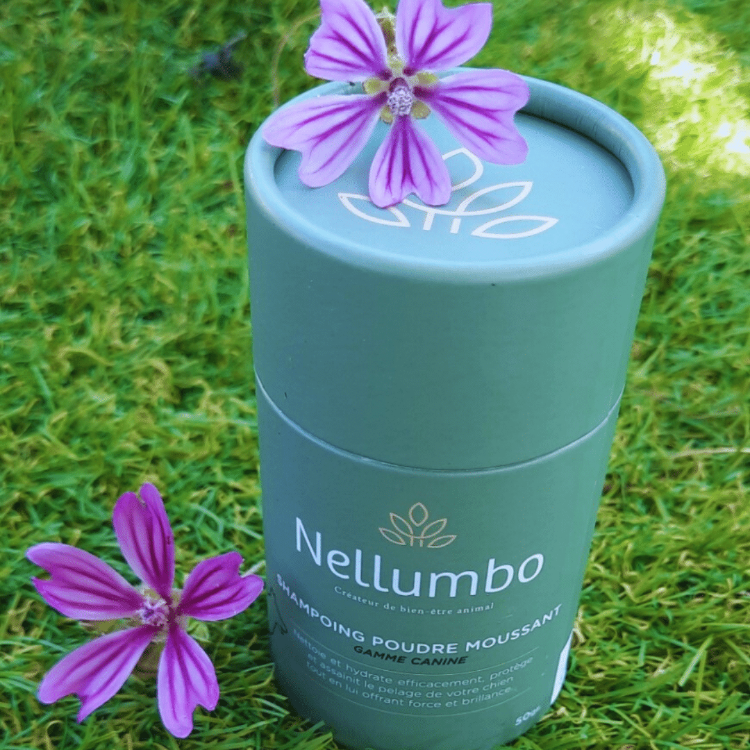 Shampoing pour chien poudre moussante Nellumbo