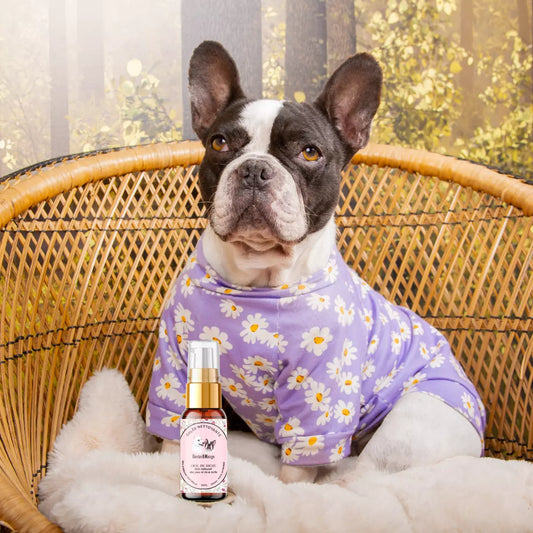 Gelée nettoyante Œil de Biche Dexter et Mango