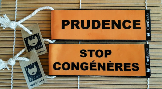 Canicodes Messages Canicode