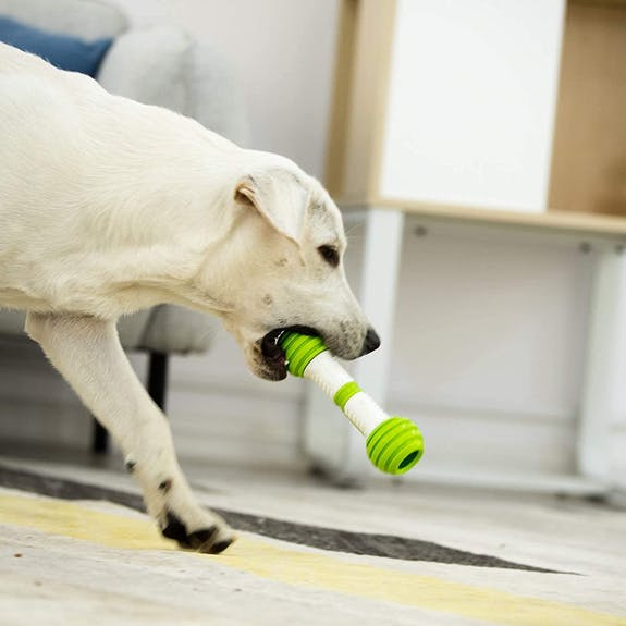 Playbone Petgeek