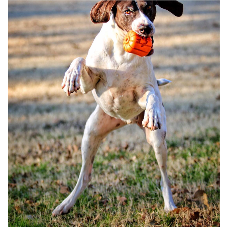 Distributeur Jack'O'lantern Soda Pup