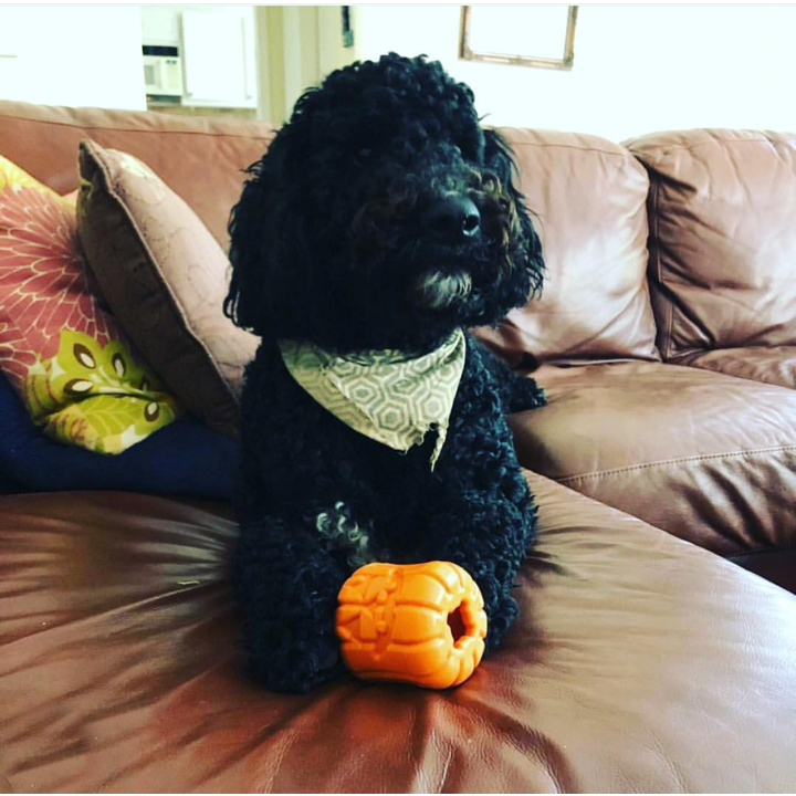 Distributeur Jack'O'lantern Soda Pup