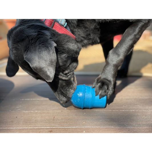 Distributeur Cornet crème glacée Soda Pup