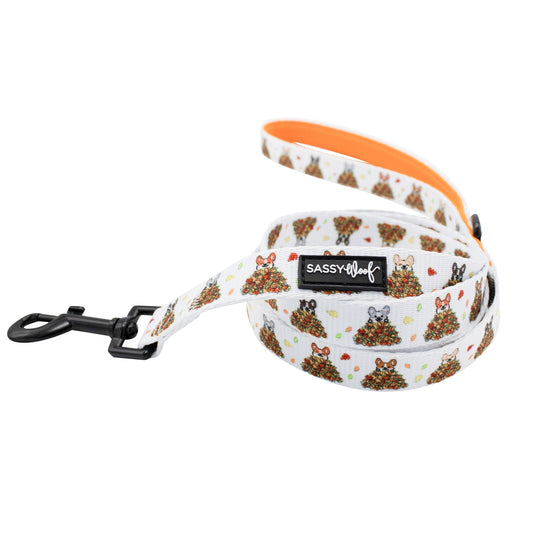 Laisse Corgi dans les feuilles Sassy Woof