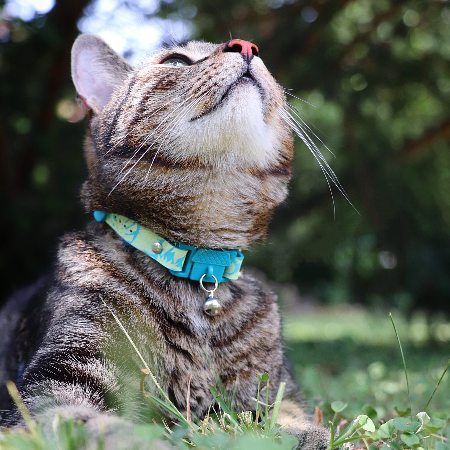 Collier Botanical Jungle Kittyrama