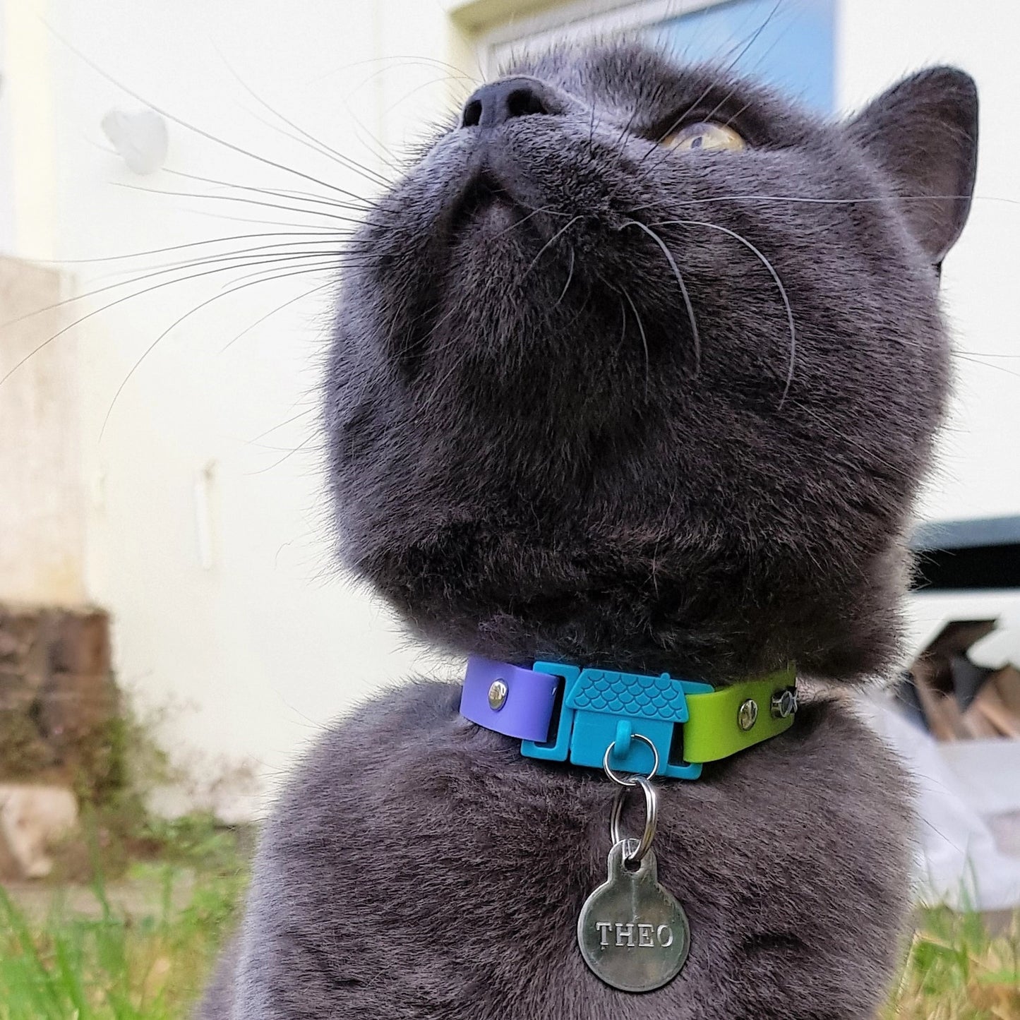 Collier Tahiti Kittyrama