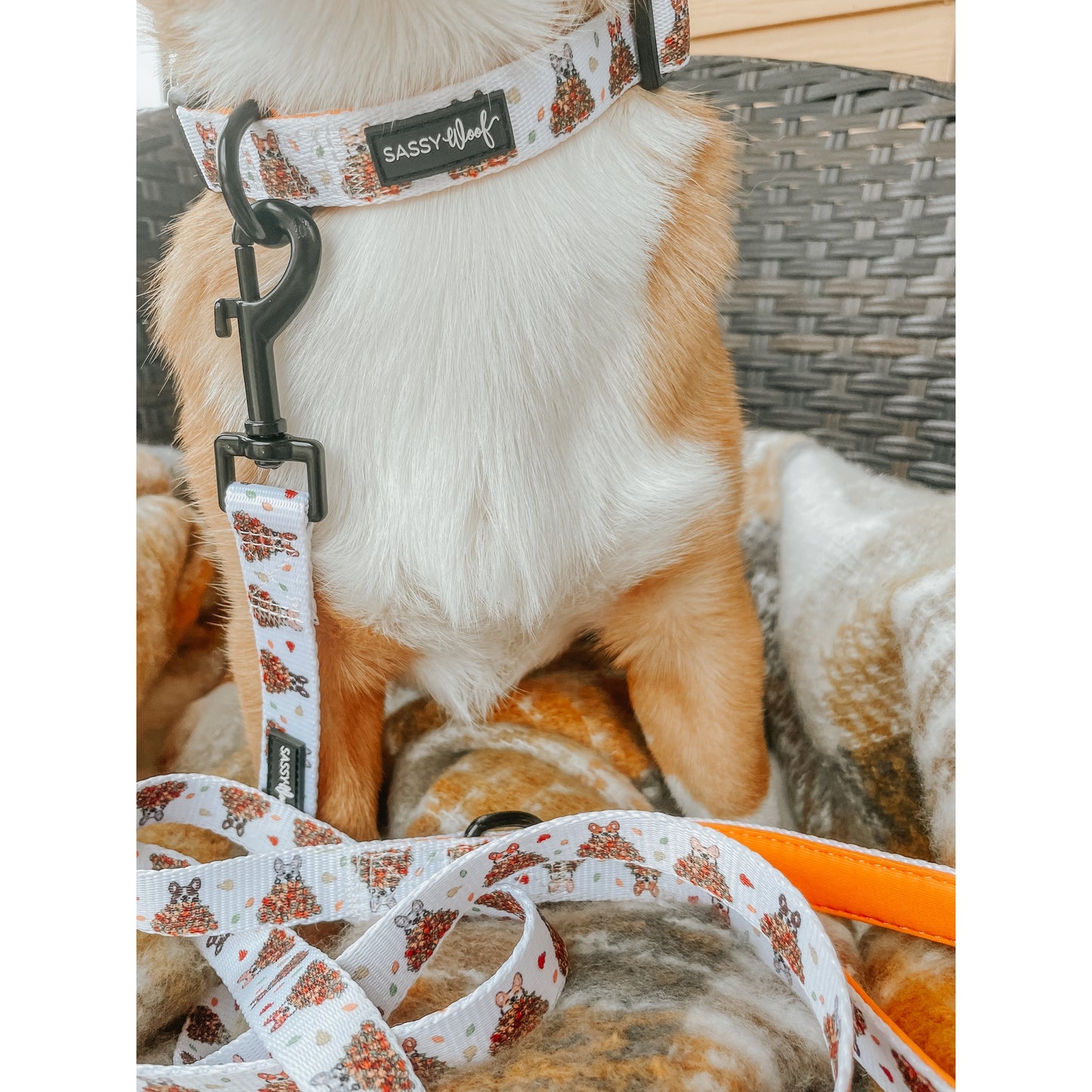 Laisse Corgi dans les feuilles Sassy Woof