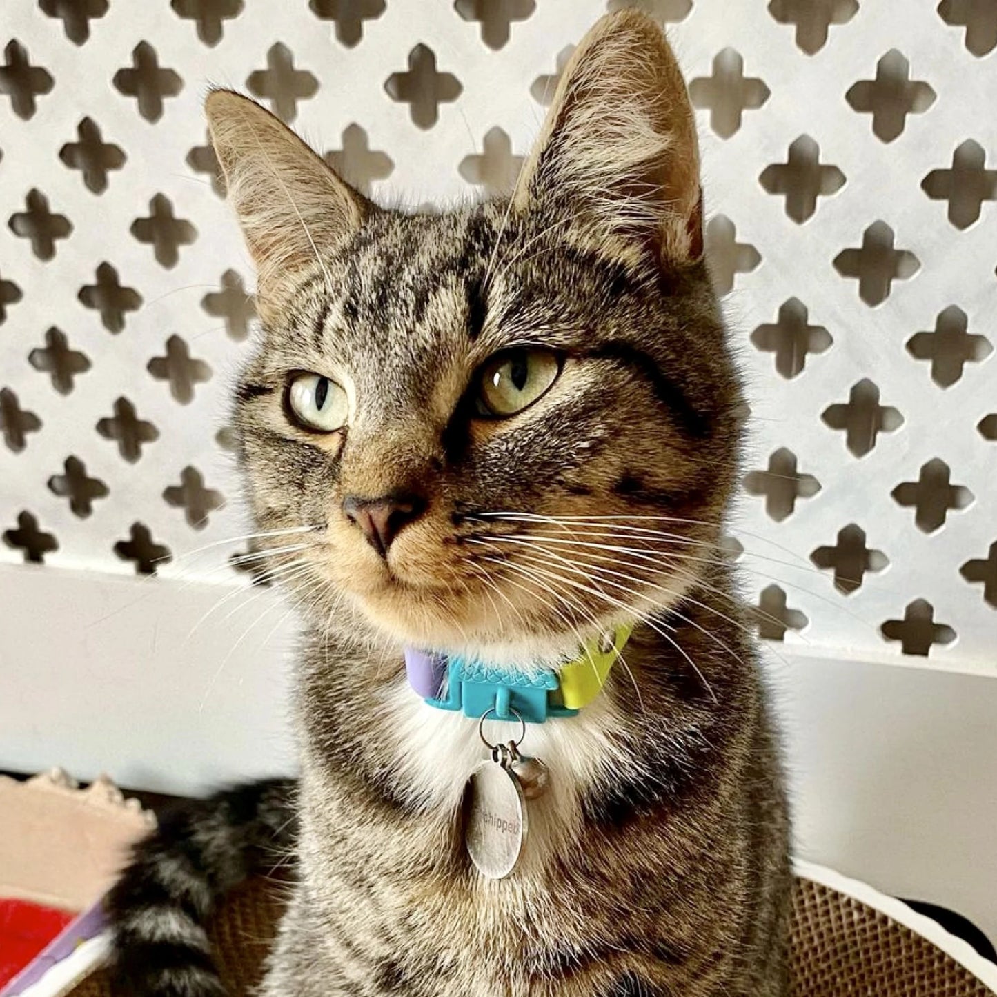 Collier Tahiti Kittyrama