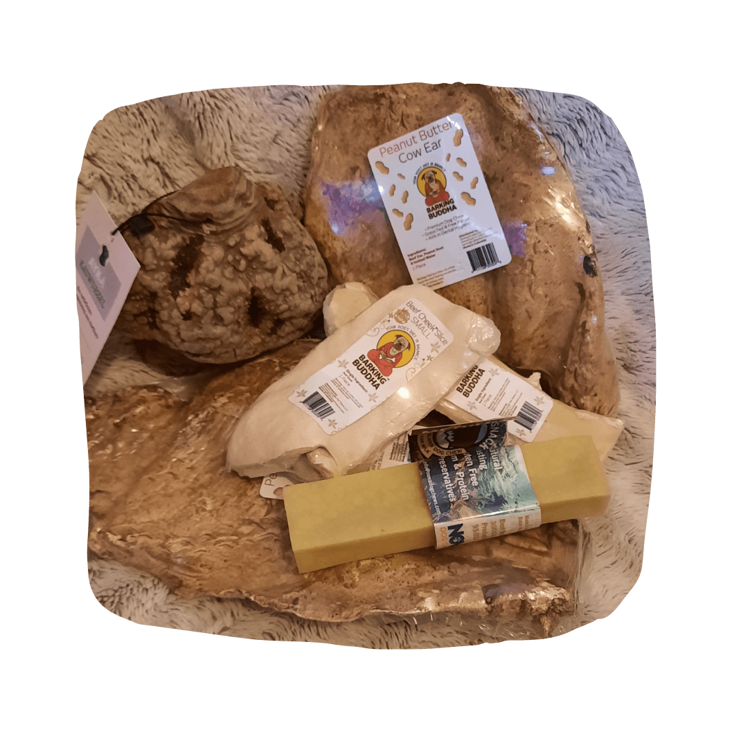 Box Mastication Chiens Medium AVET'SERVICES