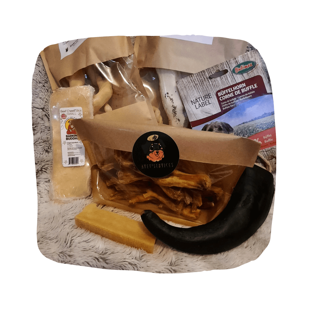 Box Mastication Les petits AVET'SERVICES
