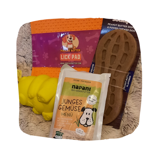 Box Léchage Medium AVET'SERVICES