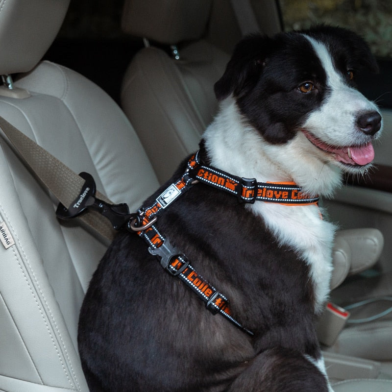 Boucle pour ceinture de sécurité TRUELOVE