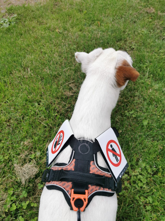 Canicodes Pictos Canicode