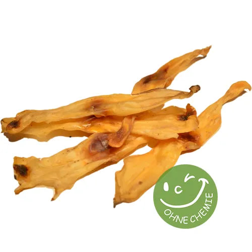 Oreilles lapin kauartikel