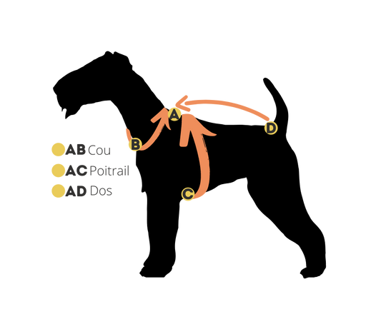 Collier et Bracelet Glitter Gold Friendship Collar