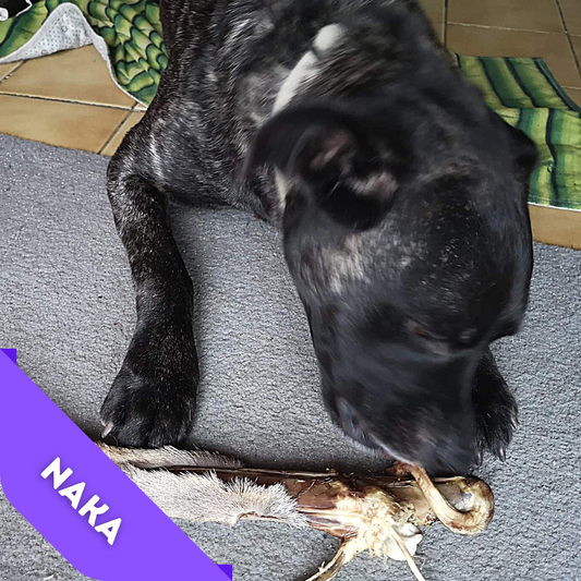 Patte de cerf avec fourrure Kauartikel