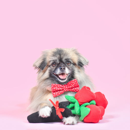 Bouquet de roses Zippy Paws