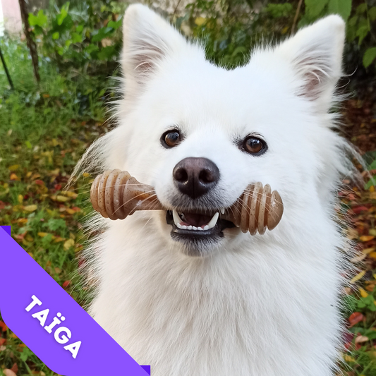 Os Miel à mâcher en Nylon Soda Pup