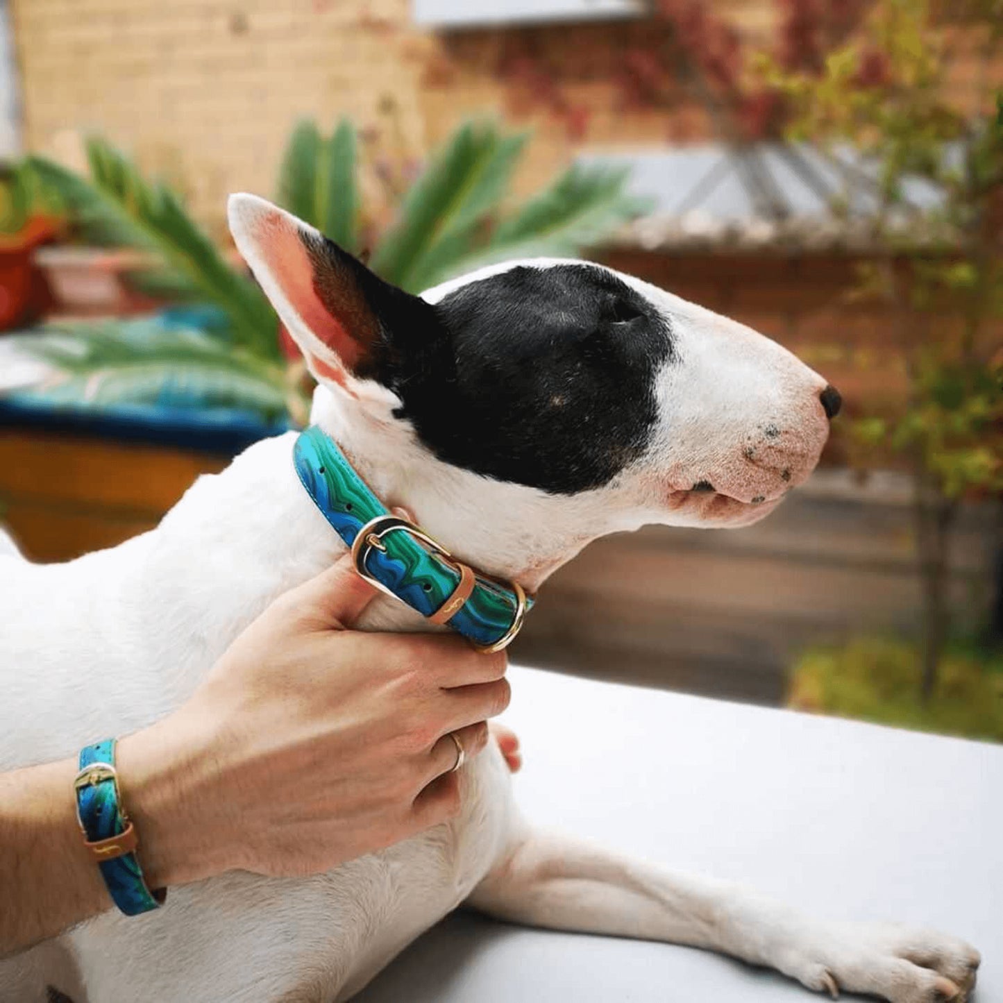 Collier et Bracelet Malachite magique Friendship Collar