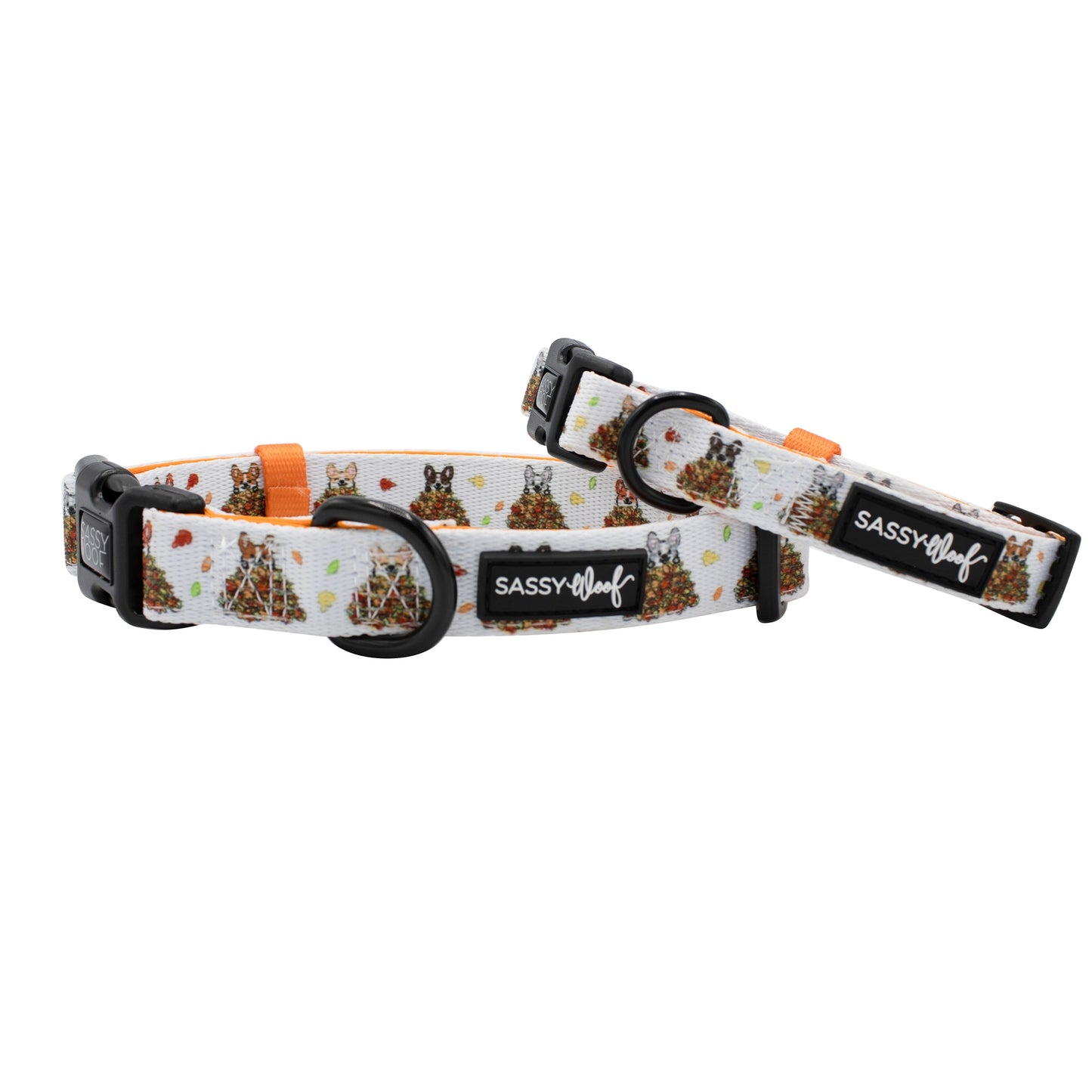Collier Corgi dans les Feuilles Sassy Woof