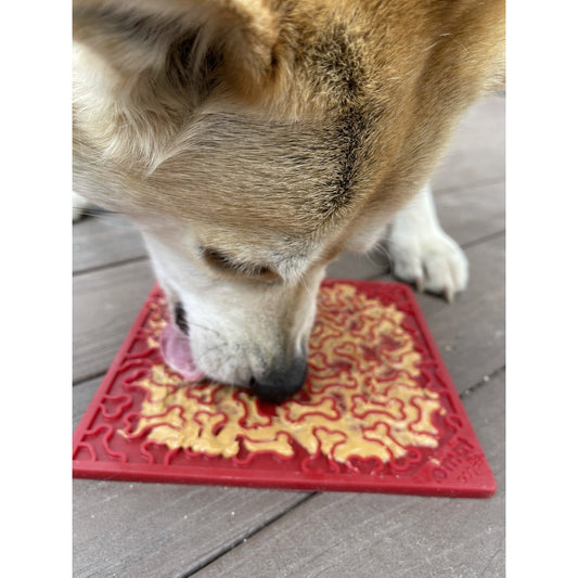 Tapis de léchage Os Soda Pup