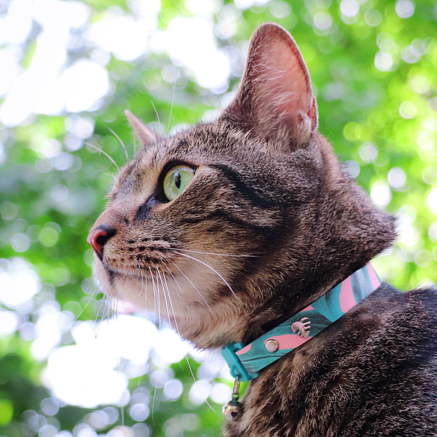 Collier Chaton Botanical Monstera Kittyrama