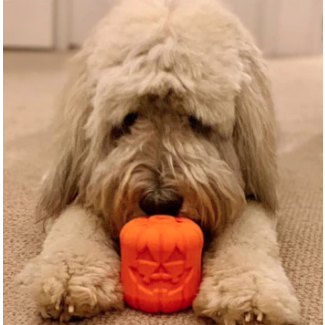 Distributeur Jack'O'lantern Soda Pup
