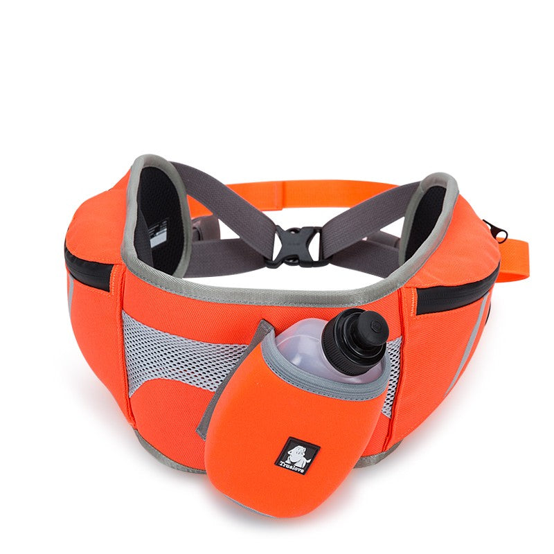 Ceinture de Course TRUELOVE JOGG TrueLove