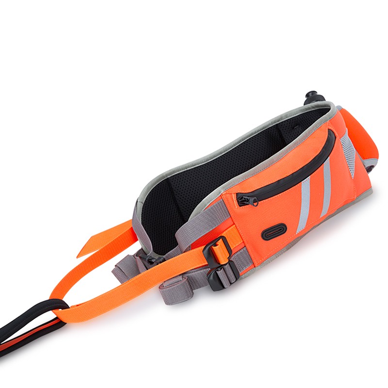 Ceinture de Course TRUELOVE JOGG TrueLove