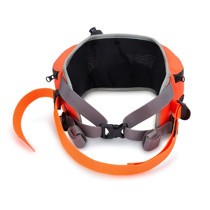 Ceinture de Course TRUELOVE JOGG TrueLove