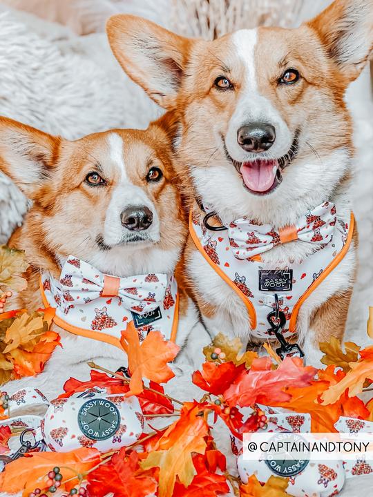 Nœud Papillon Corgi dans les feuilles Sassy Woof