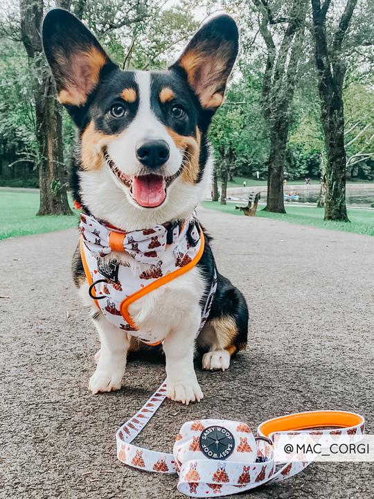 Nœud Papillon Corgi dans les feuilles Sassy Woof