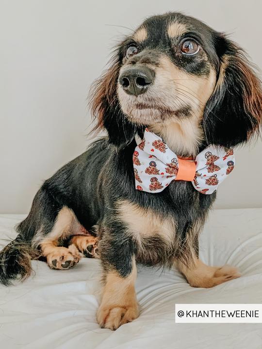 Nœud Papillon Teckel dans les feuilles Sassy Woof