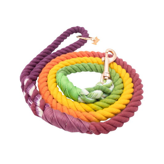 Laisse en corde VIBRANT VIBES Sassy Woof