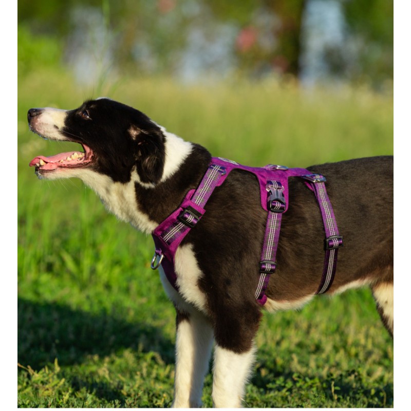 WINHYEPET Harnais Redrock 3M TRUELOVE