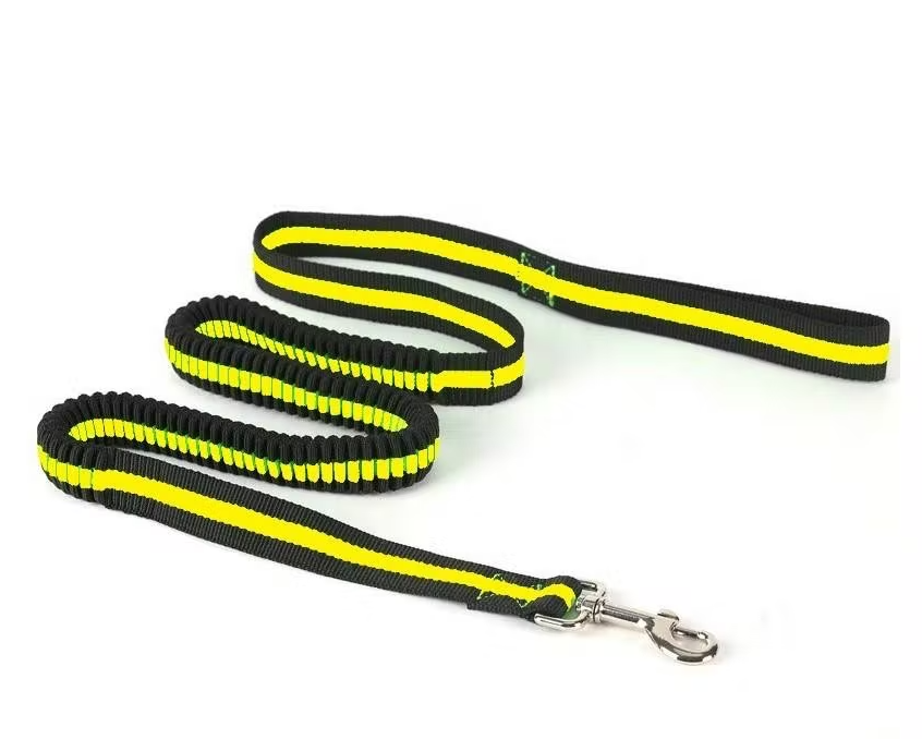 Laisse élastique Paws and Son