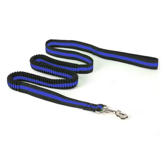 Laisse élastique Paws and Son