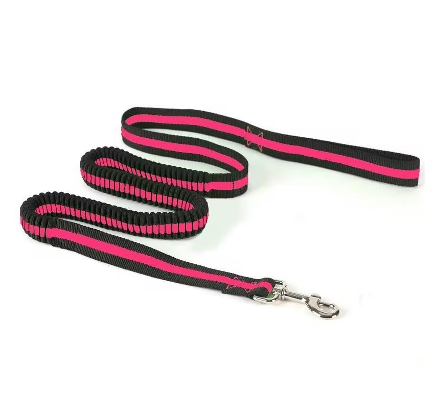 Laisse élastique Paws and Son