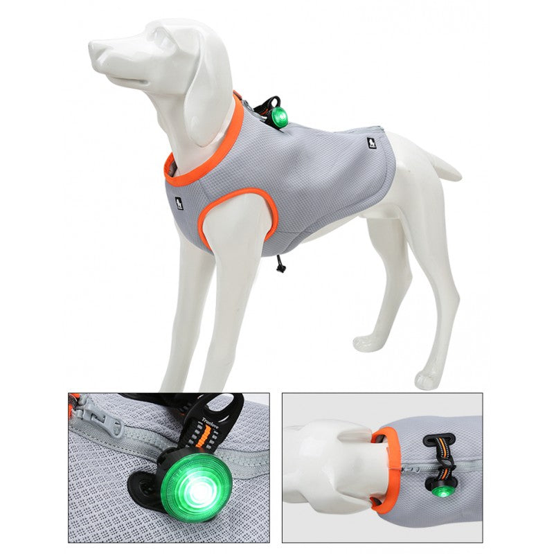 LED TRUELOVE TrueLove