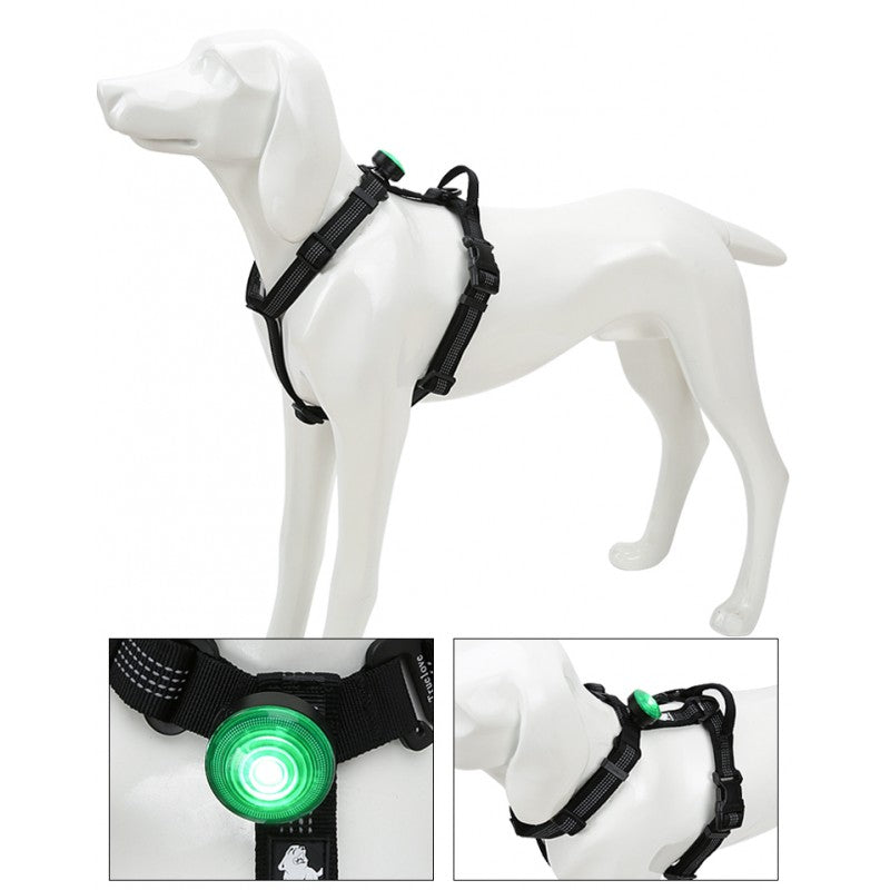 LED TRUELOVE TrueLove