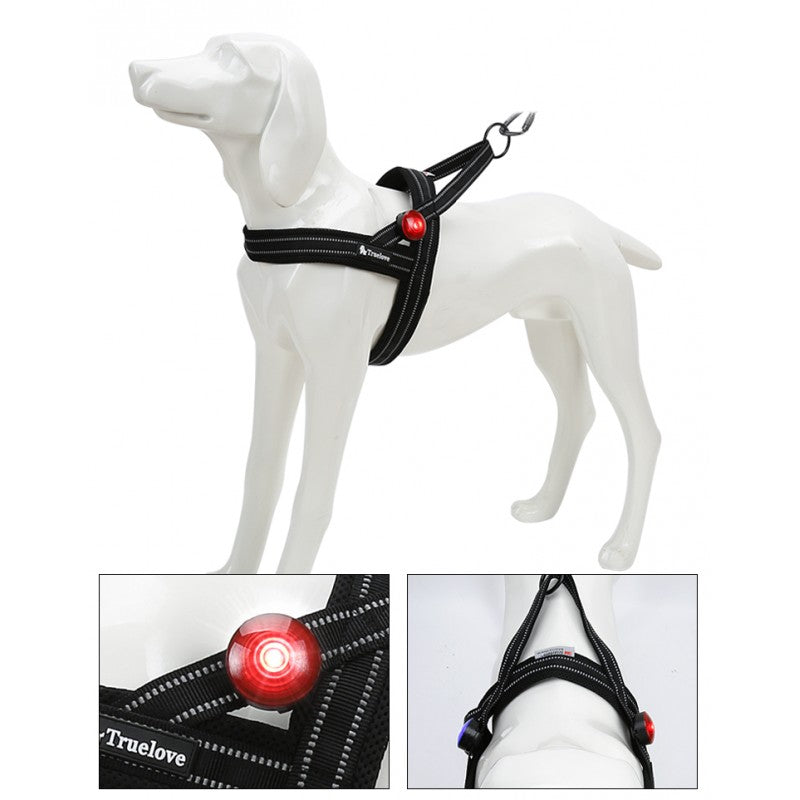 LED TRUELOVE TrueLove