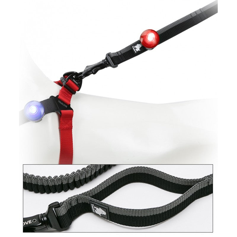 LED TRUELOVE TrueLove